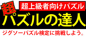 パズルの達人
